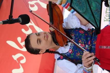 Svätojánsky grif - 25 (autor: Juraj Záborský) Svätojánsky grif - 25 (autor: Juraj Záborský)