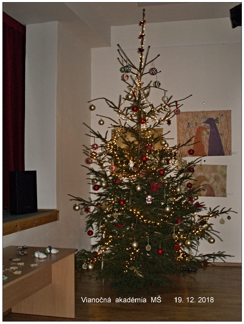 Fotogaléria 19.12.2018 Vianočná akadémia (72) 19.12.2018 Vianočná akadémia
